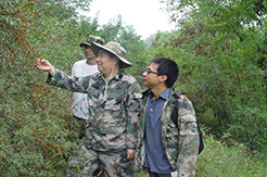 项目“黄土高原土地利用变化的生态环境效应”获陈嘉庚地球科学奖